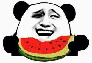 南宁吃瓜群众免费吃瓜