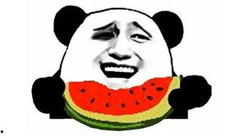 搞怪吃瓜