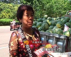 吃瓜群众小琼,揭秘娱乐圈那些事儿