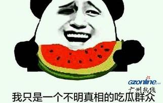 吃瓜群众指吃瓜还是瓜子,揭秘“吃瓜”背后的真相与瓜子传奇