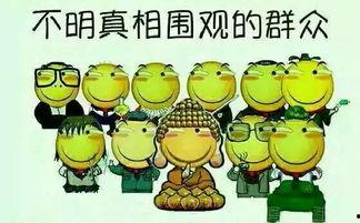吃瓜群众指吃瓜还是瓜子,揭秘“吃瓜”背后的真相与瓜子传奇