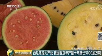 中国网吃瓜